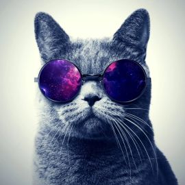 Кот в очках на фоне космоса