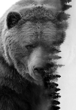 Брутальный медведь