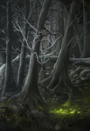 Дом в темном лесу