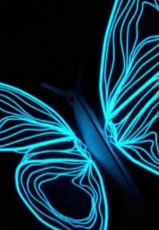 Светящиеся бабочки в темноте