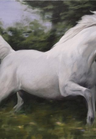 Белая лошадь томпсонов