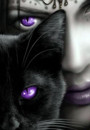 Черная кошка с фиолетовыми глазами