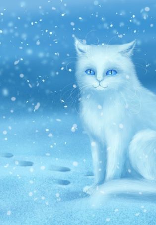 Белая кошка на снегу