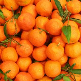 Гора апельсинов