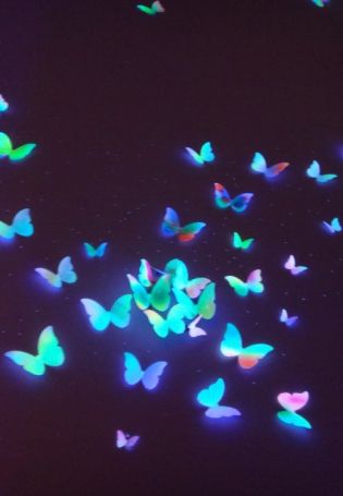 Красивые ночные бабочки