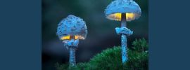 Синие светящиеся грибы