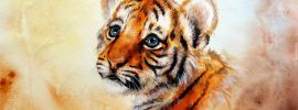Тигр с зелеными глазами
