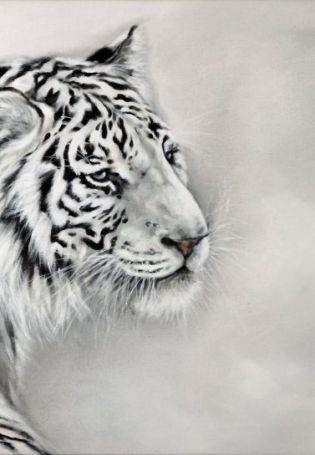 Белый тигр маленький