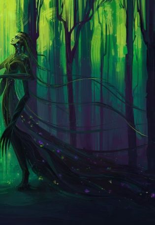 Сказочный темный лес