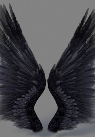 Черные крылья эстетика