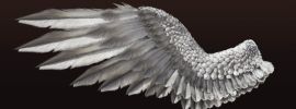 Крылья лебедя