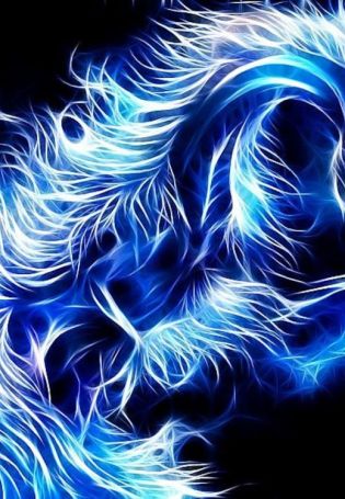 Бело голубой дракон