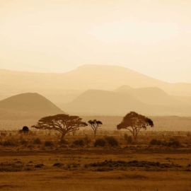 Африканский пейзаж