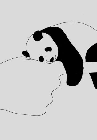 Постер панда