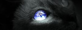 Кот с космосом в глазах