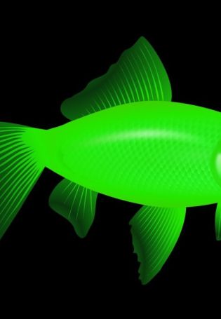 Рыба зеленого цвета