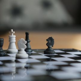 Тема шахматы