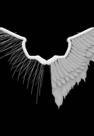 Ангел с черным и белым крылом