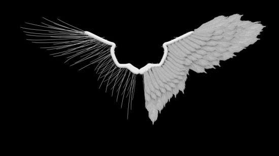 Ангел с черным и белым крылом