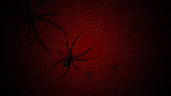 Черный экран с пауком