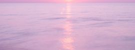 Розовый океан