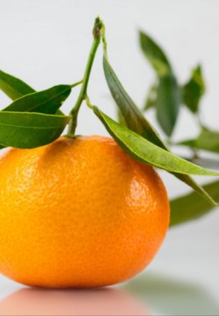 Апельсин с листиком