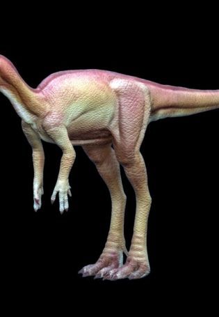 Гипсилофодон динозавр