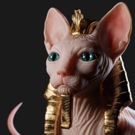 Египетская лысая кошка