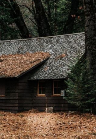 Одинокий дом в лесу