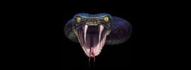 Змея с открытым ртом