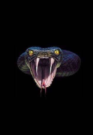 Змея с открытым ртом