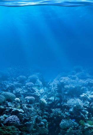 Подводная стена в океане
