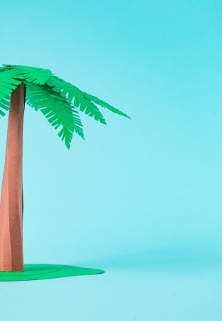 Пальма из пластилина