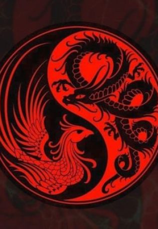 Китайский дракон в круге