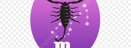 Фиолетовый скорпион