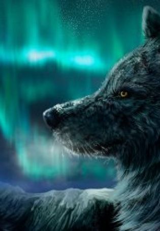 Волк на заставку