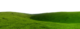 Зеленый холмик