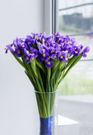 Фиолетовые тюльпаны с ирисами