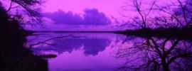 Фиолетовое озеро