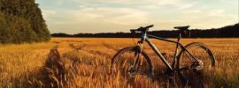 Велосипед на природе
