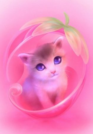 Кошка розового цвета