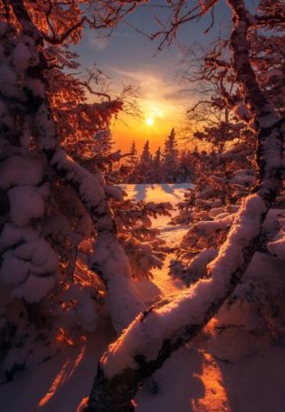 Закат в зимнем лесу