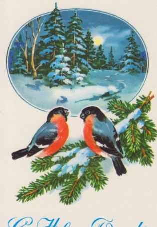 Снегири на открытках