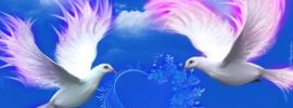 Белая птица и синий фон