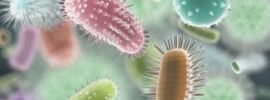 Картинки микроорганизмов