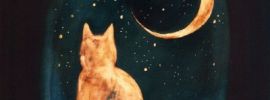 Кот и луна картинки