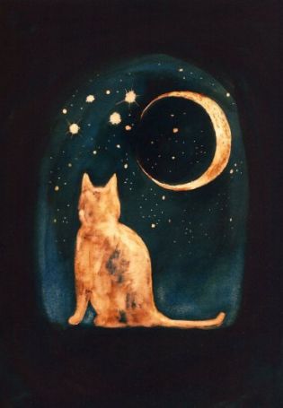 Кот и луна картинки