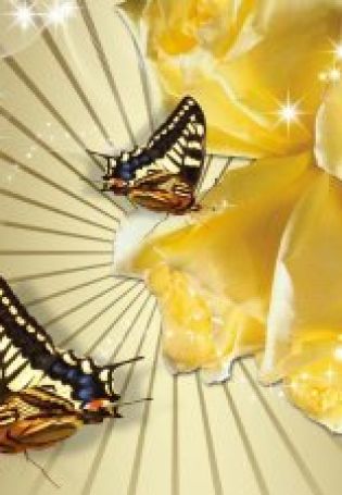 Золотые бабочки картинки