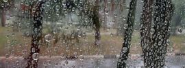 Картинки дождь за окном