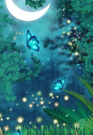 Бабочки ночью картинки
